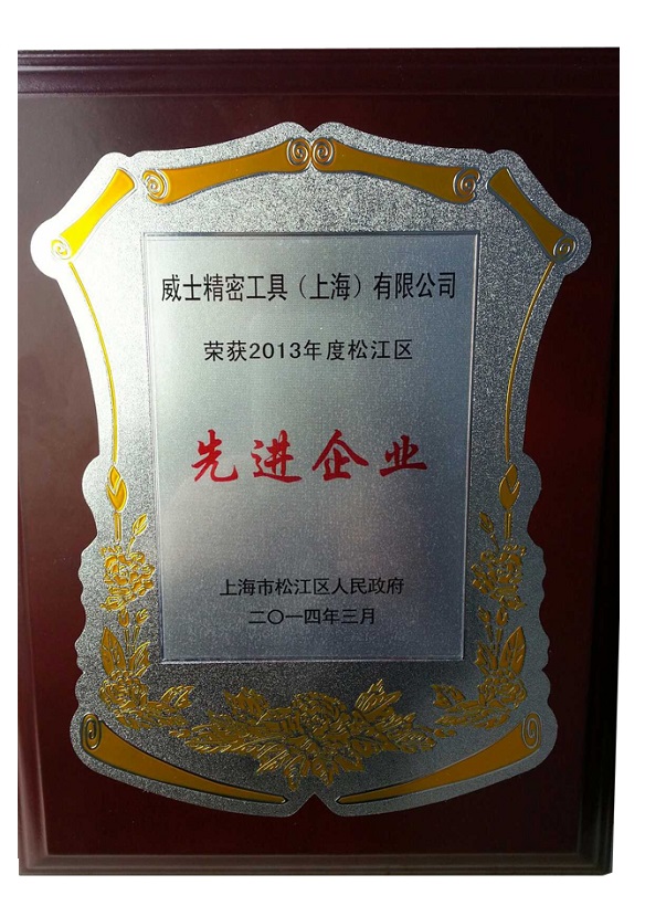 Advanced Technology Company of 2013 in Songjiang District, Shanghai