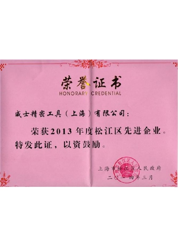 2013 Fortgeschritten Firma in Songjiang Bezirk, Shanghai