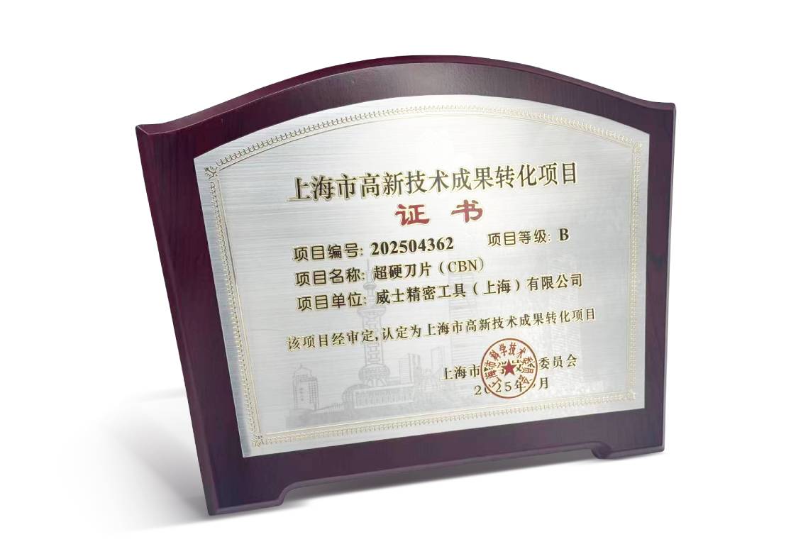 上海市高新技术成果转化项目